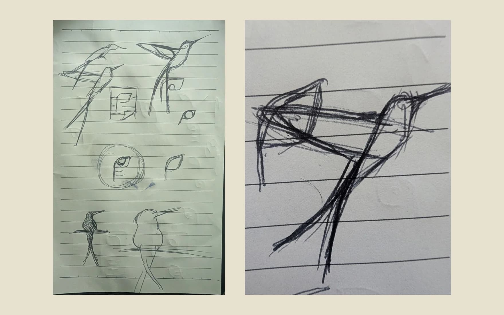 Left, a notebook page of pen sketches: hummingbirds perched and in flight, an eye, a circle and a small boxy variation. Right, a close pencil sketch of one bird with its wing raised and its long tail streaming down.