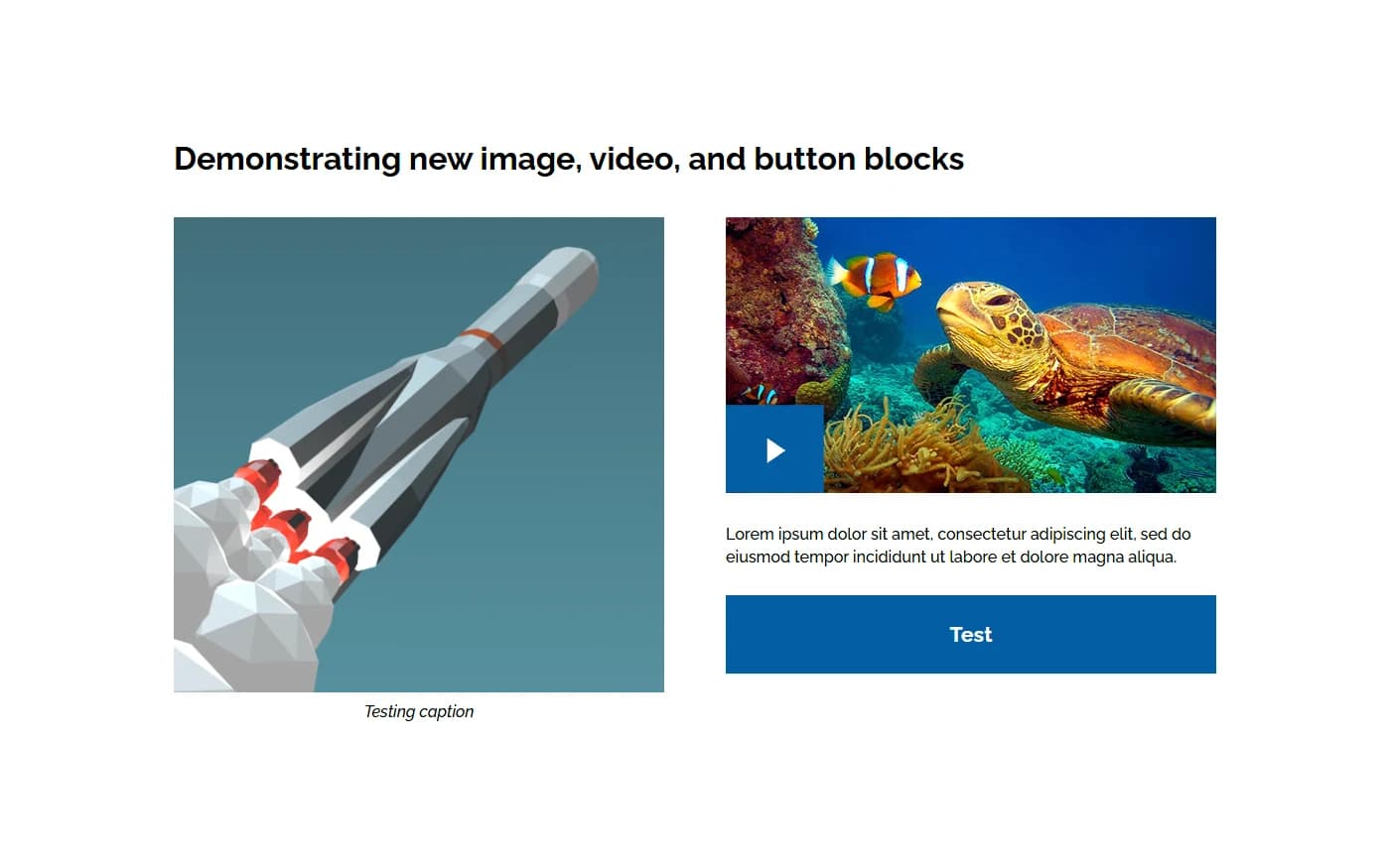 A test page on the staging site: a captioned image, a video with a play button, a line of text and a button, laid out in two columns.